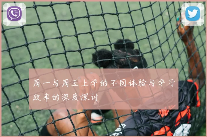 周一与周五上学的不同体验与学习效率的深度探讨