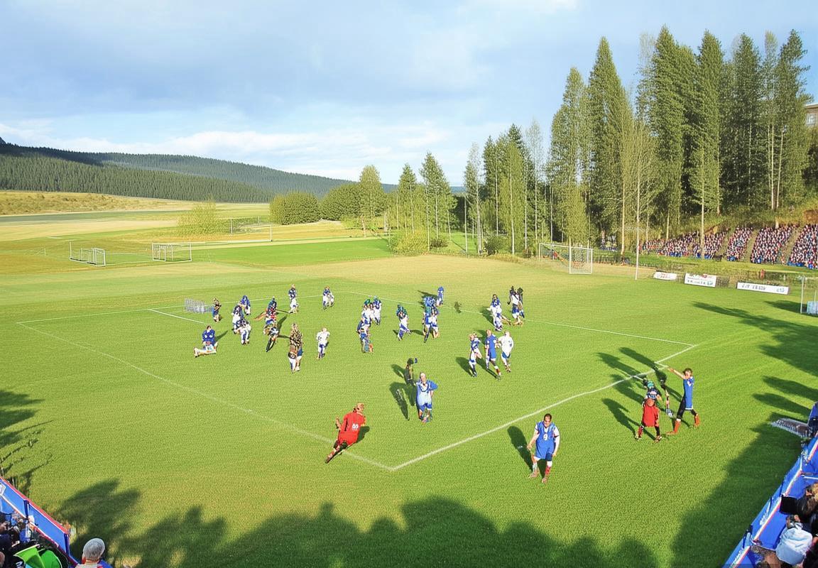 2019芬列友谊赛：战术对决与深度解析(图2)