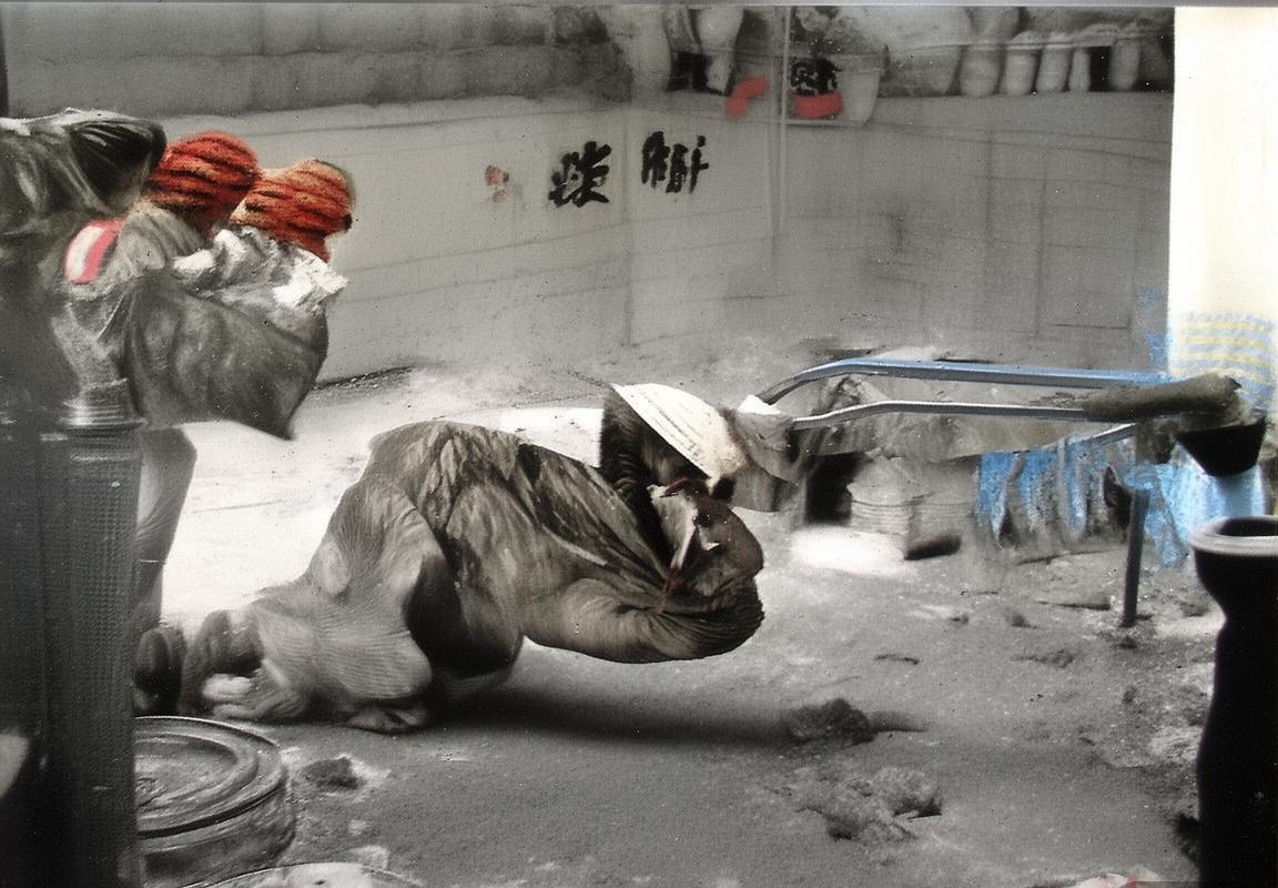 76人VS鹈鹕：团队协作与战术智慧对决，76人逆袭夺冠(图4)