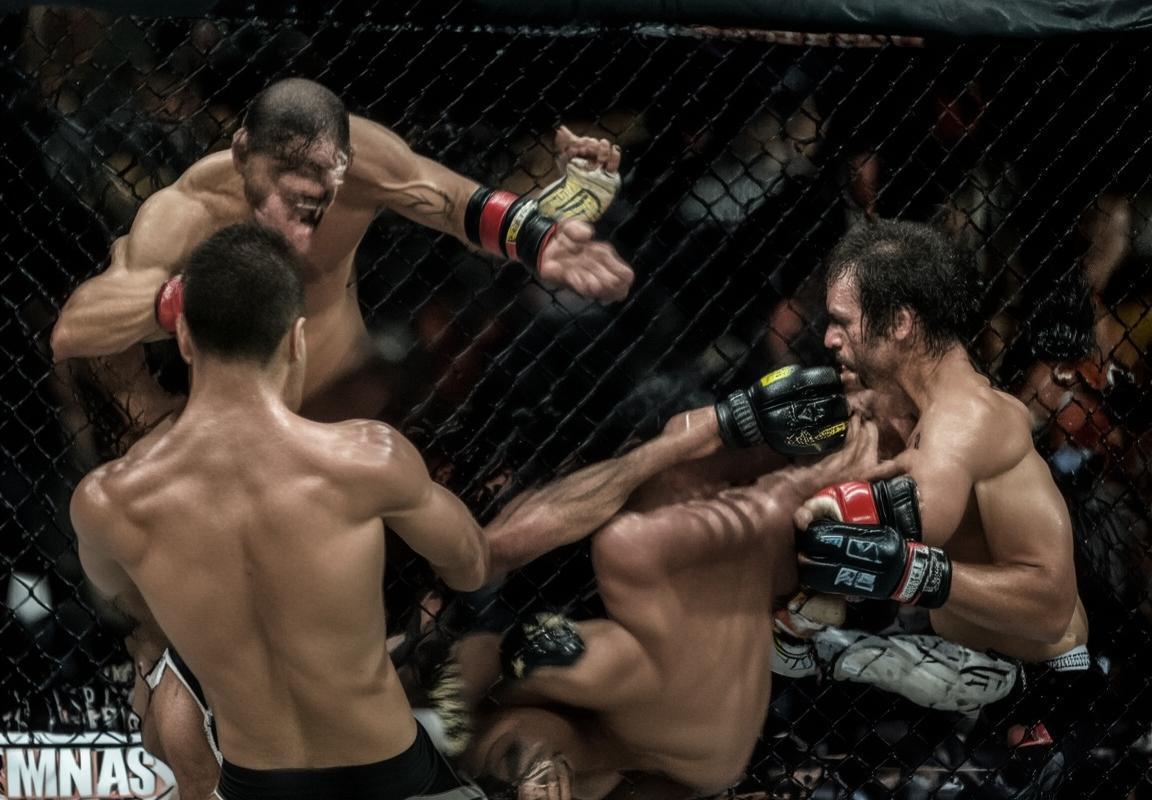 弗兰克米尔VS诺盖拉：巅峰对决与综合格斗历史里程碑